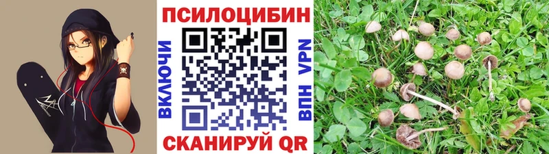 Галлюциногенные грибы MAGIC MUSHROOMS  сколько стоит  Шелехов 